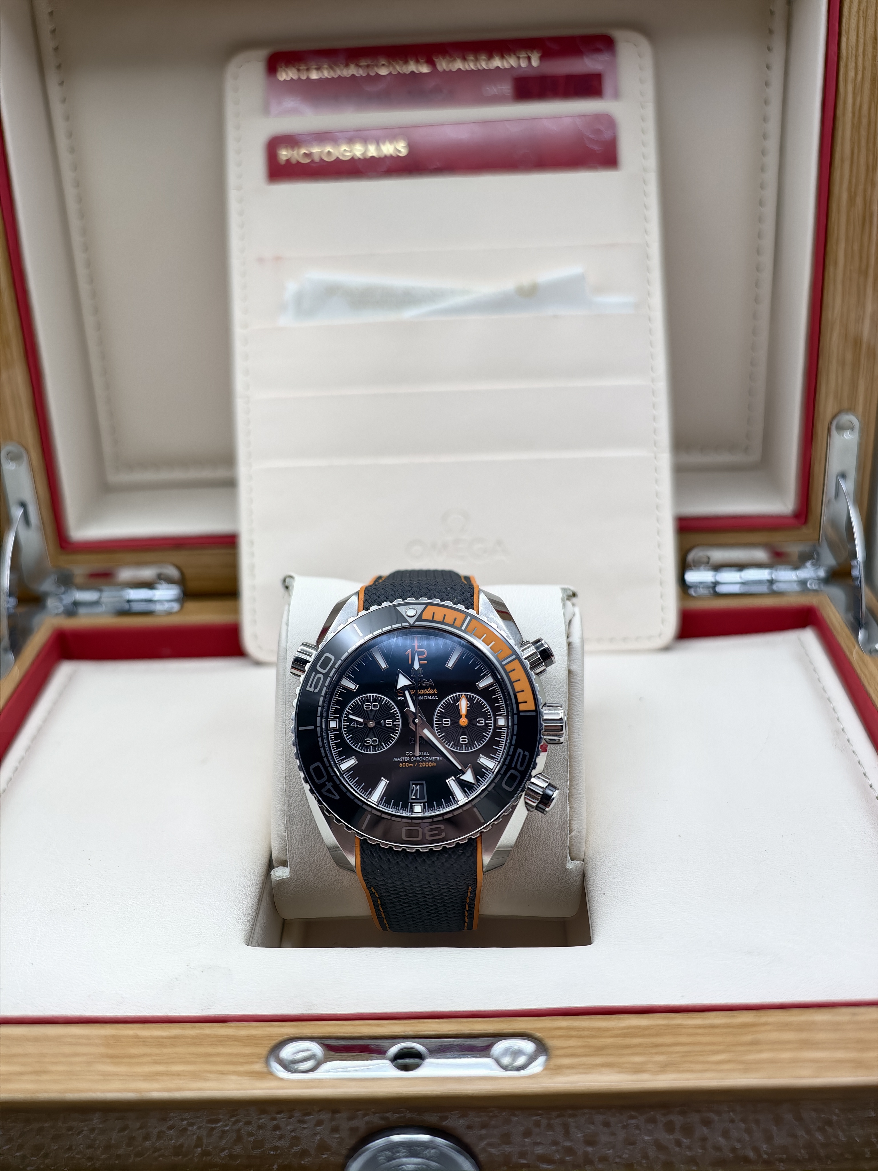 Omega  Planet Ocean 600