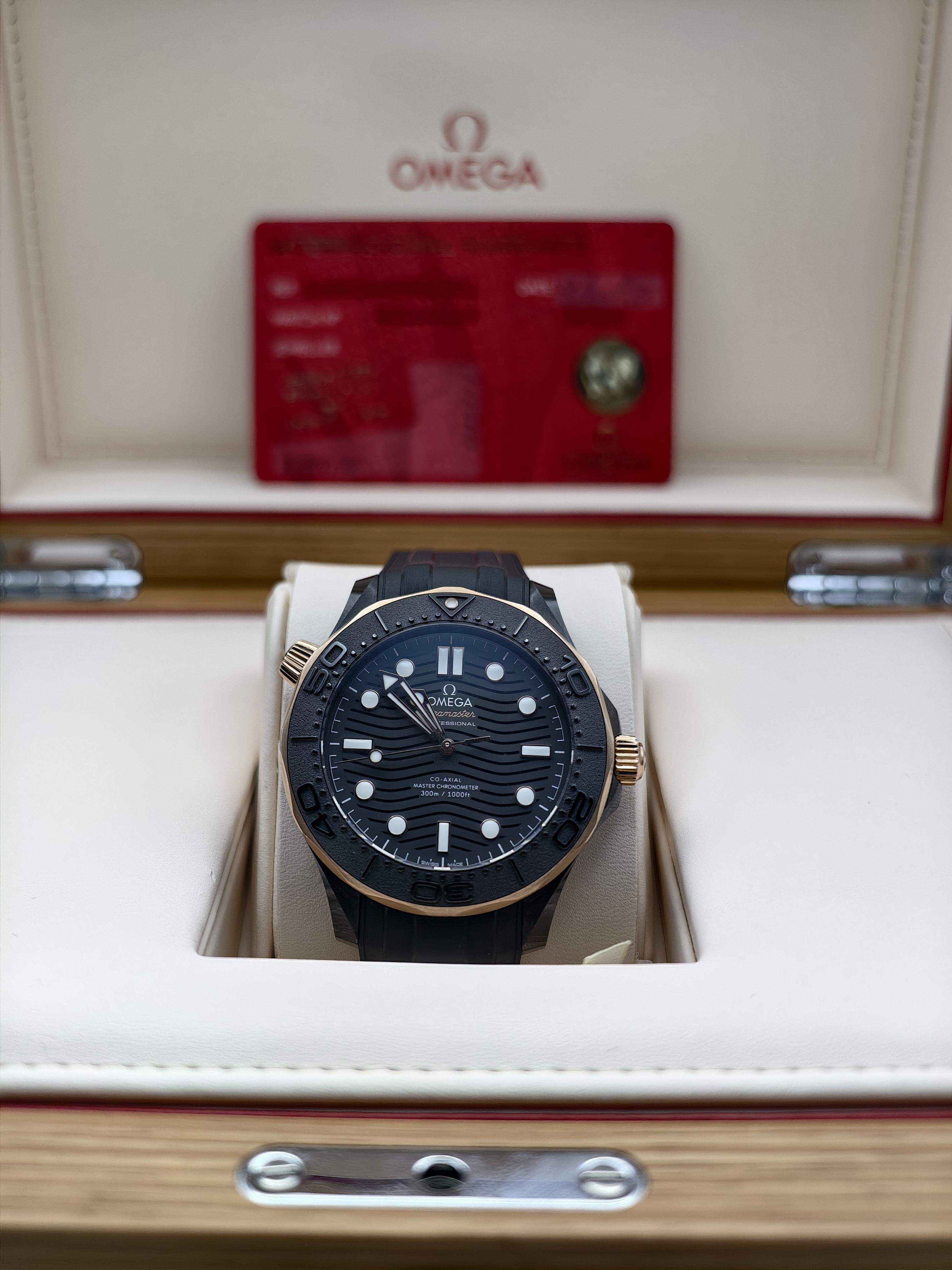 Omega Seamaster Diver 300
