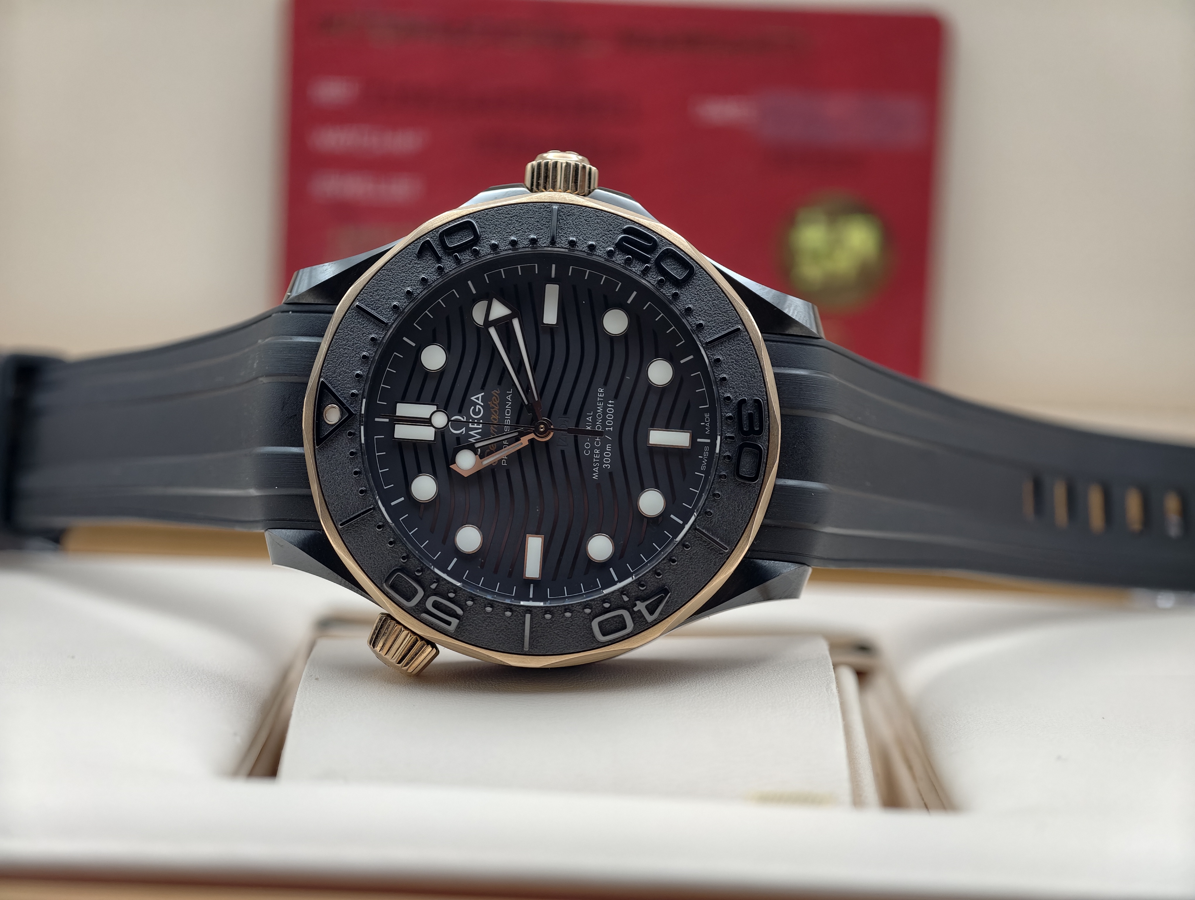 Omega Seamaster Diver 300