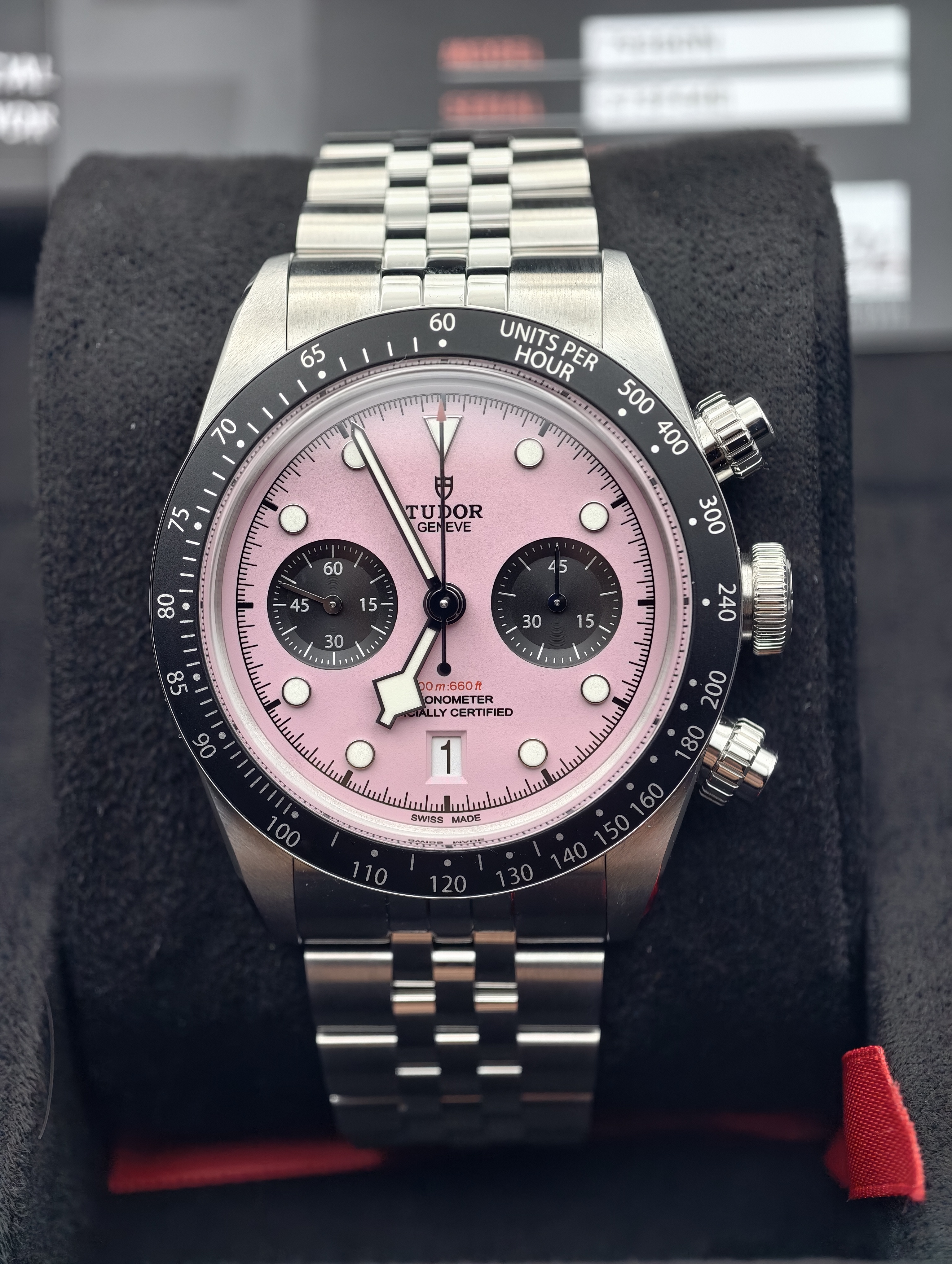 Tudor Black Bay Chrono Miami Pink